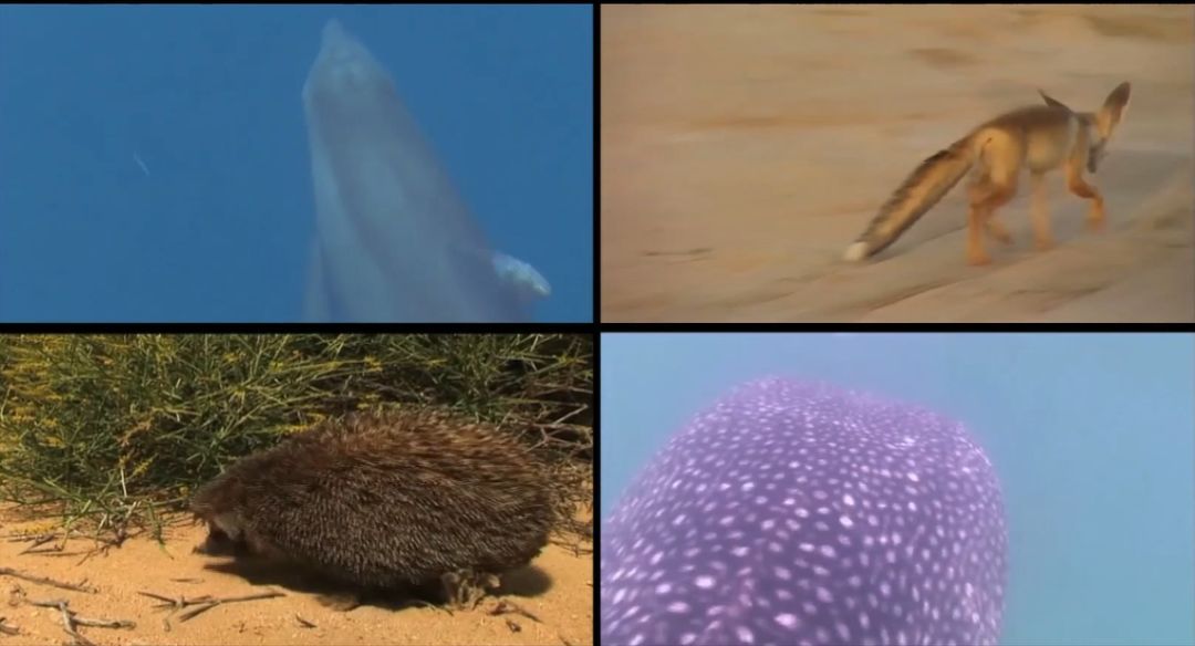 Stake(中国区)官方网站