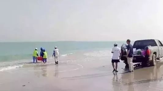 Stake(中国区)官方网站