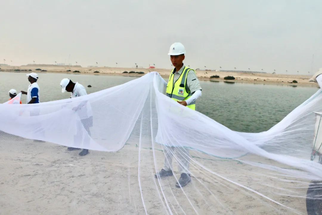 Stake(中国区)官方网站