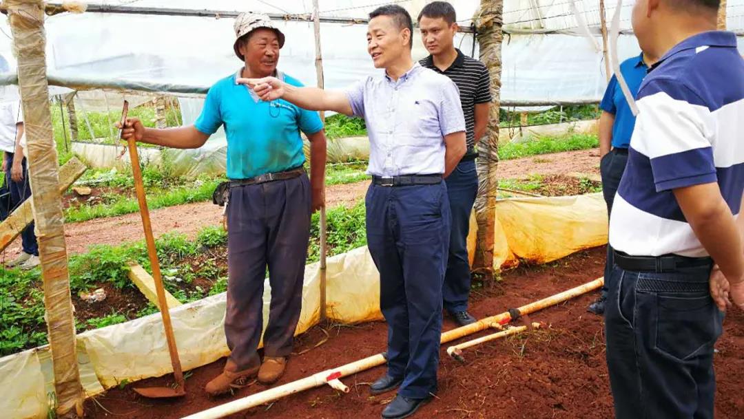 Stake(中国区)官方网站