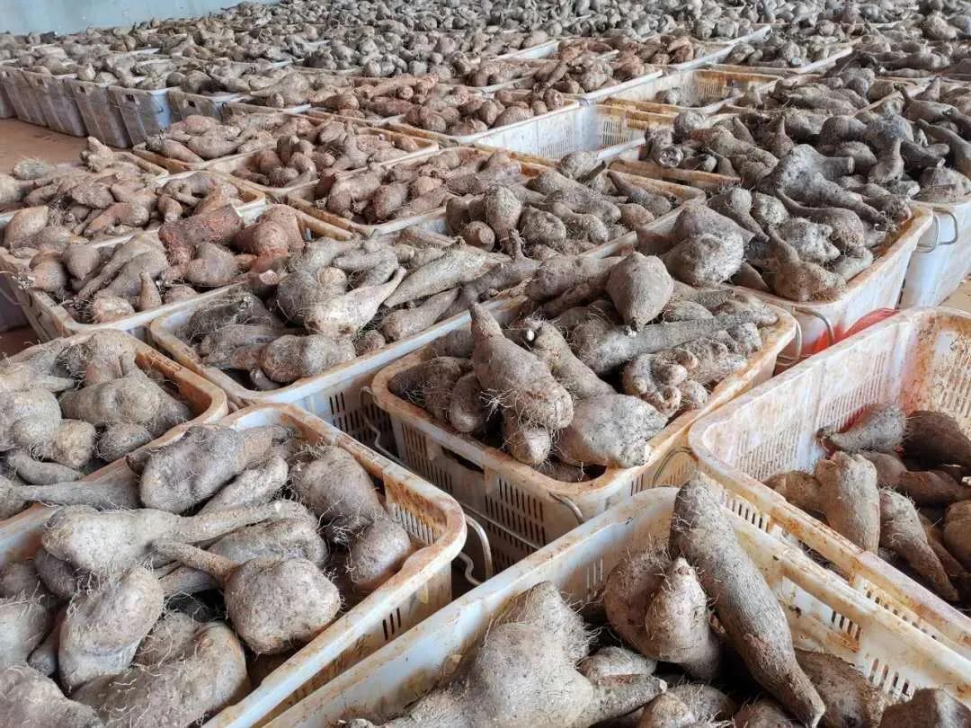 Stake(中国区)官方网站