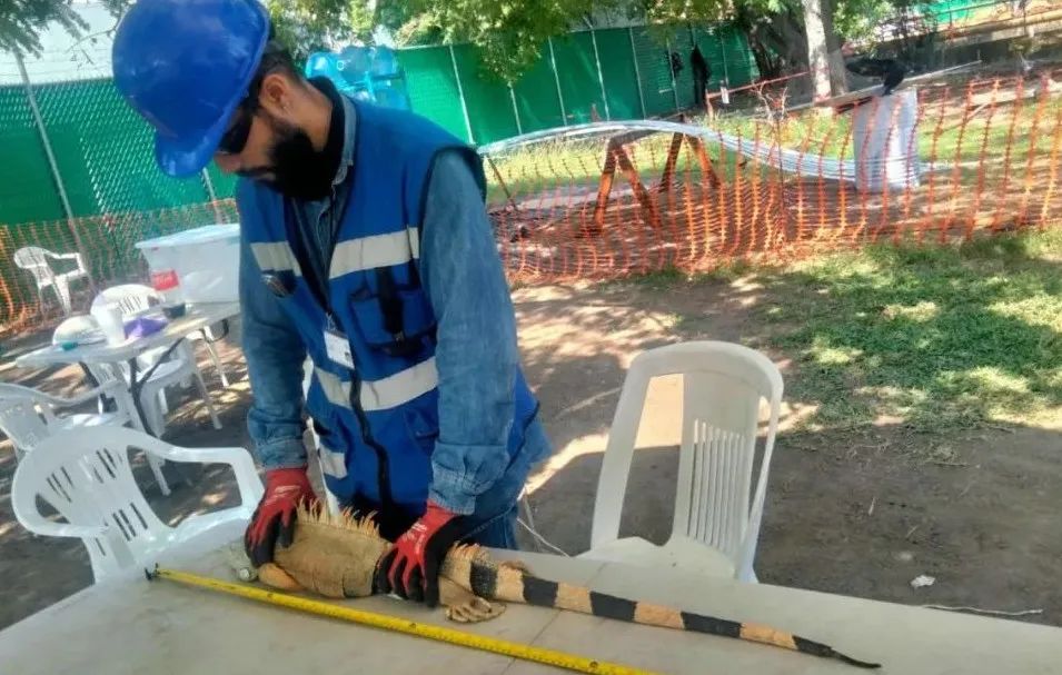 Stake(中国区)官方网站