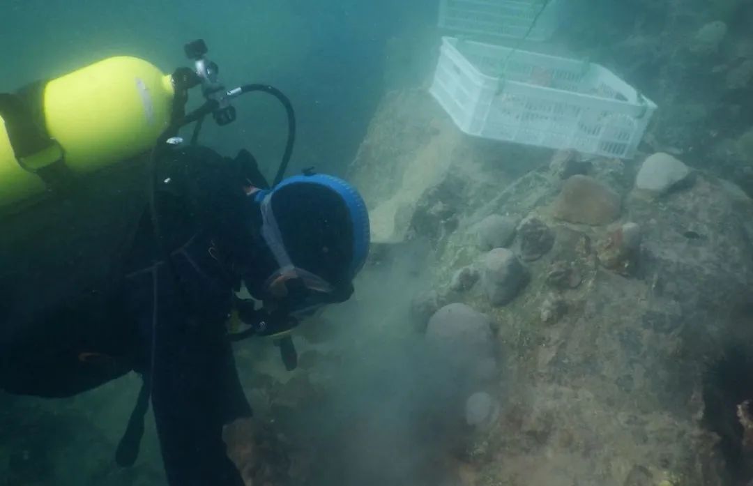 Stake(中国区)官方网站