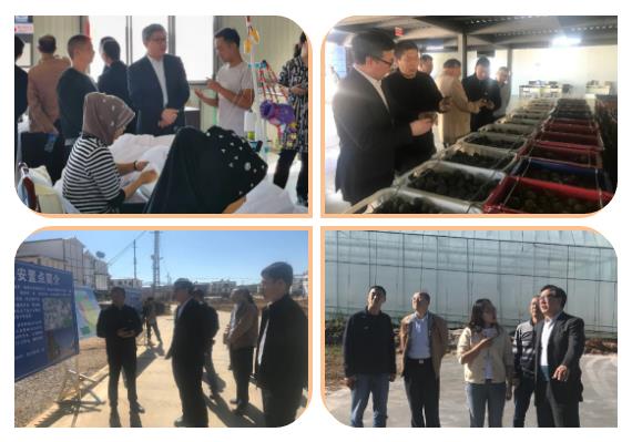 Stake(中国区)官方网站