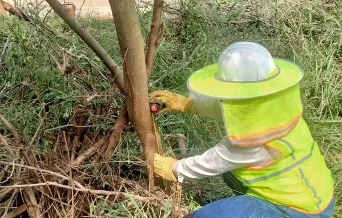 Stake(中国区)官方网站