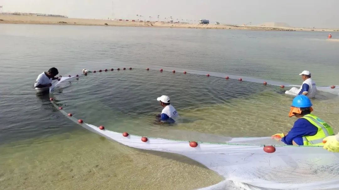 Stake(中国区)官方网站