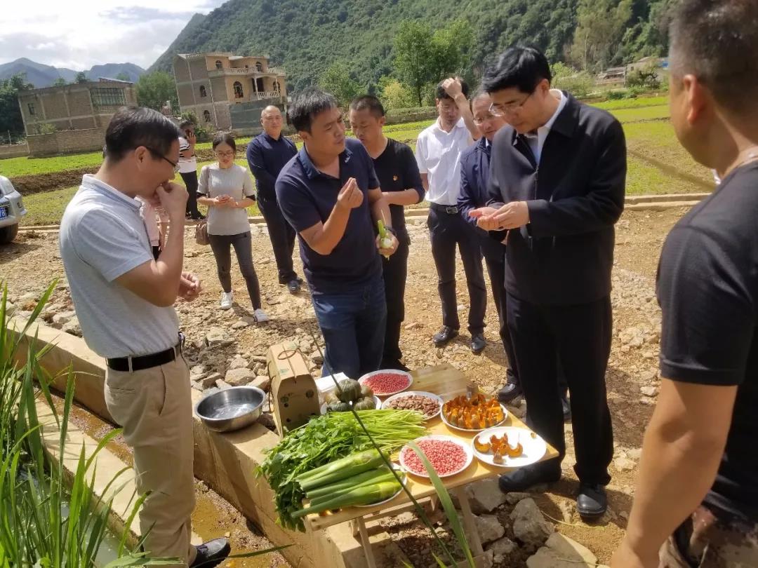 Stake(中国区)官方网站