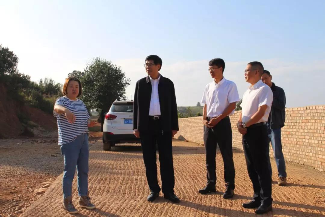 Stake(中国区)官方网站