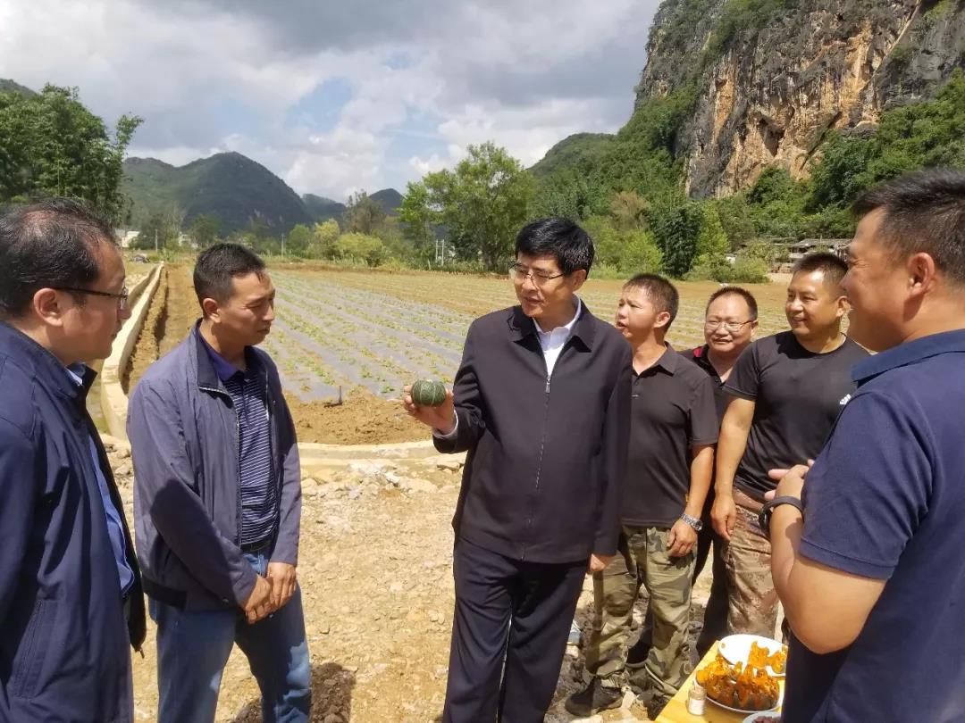 Stake(中国区)官方网站