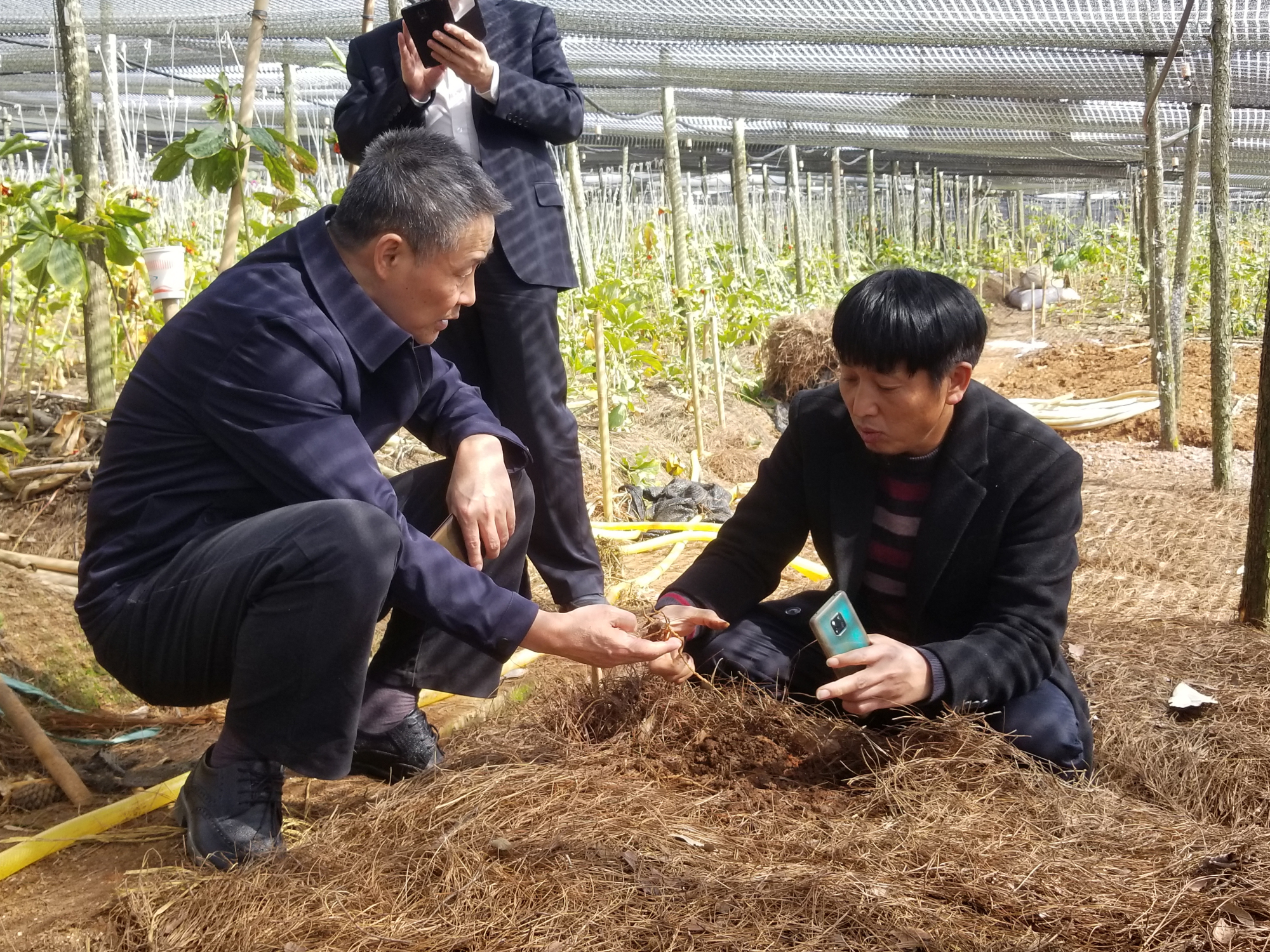 Stake(中国区)官方网站