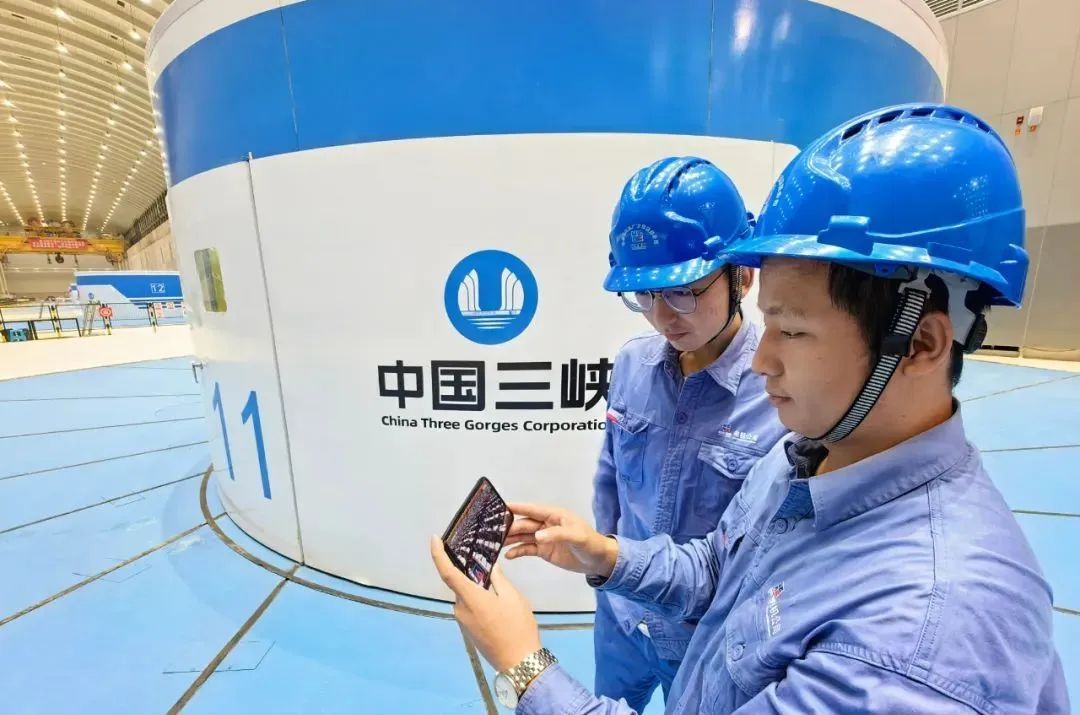 Stake(中国区)官方网站