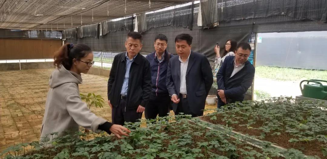 Stake(中国区)官方网站