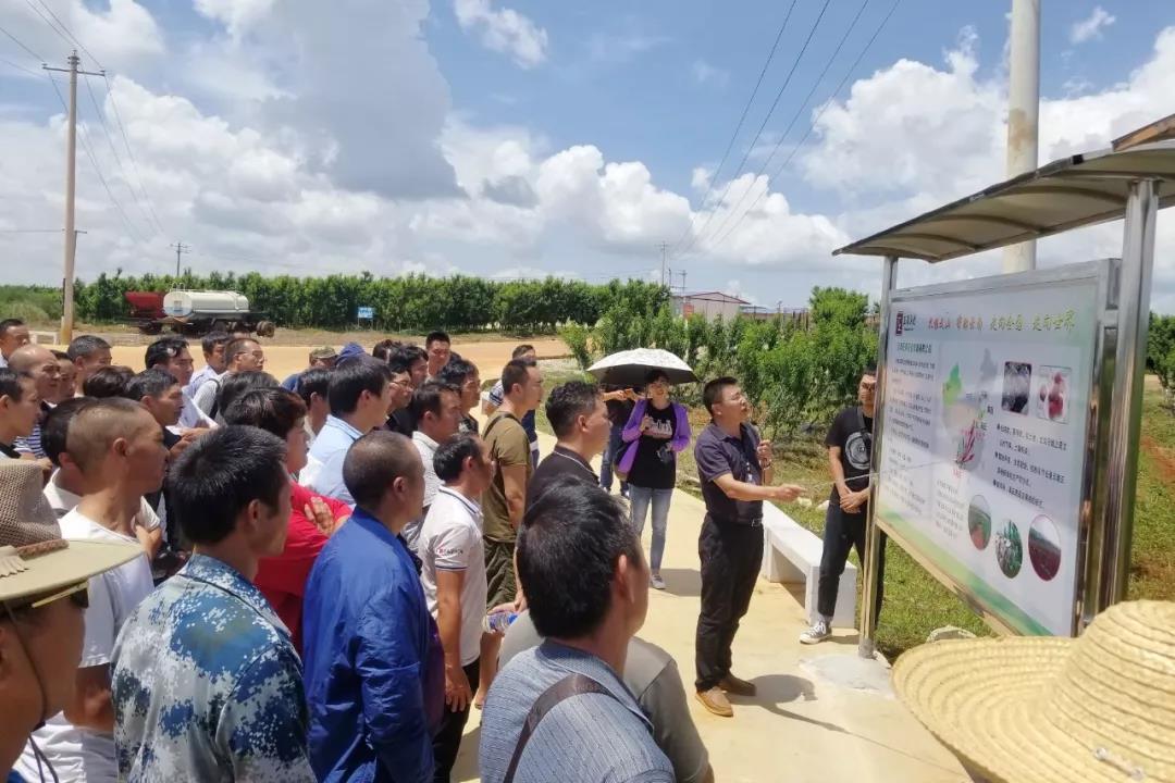 Stake(中国区)官方网站