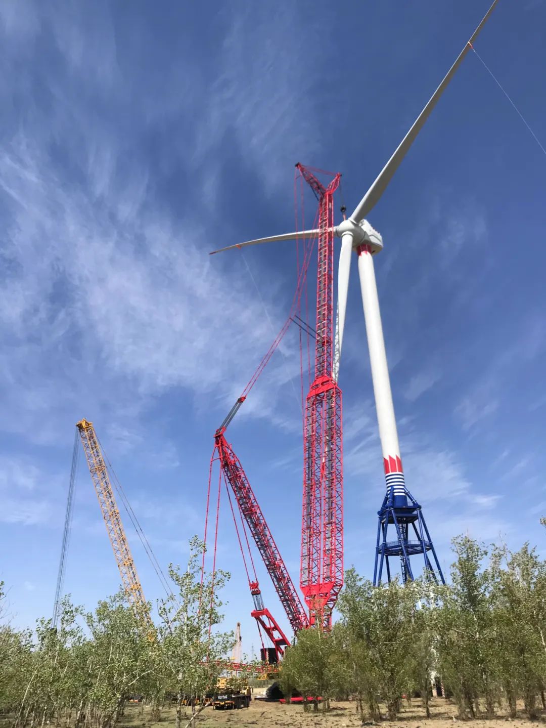 Stake(中国区)官方网站