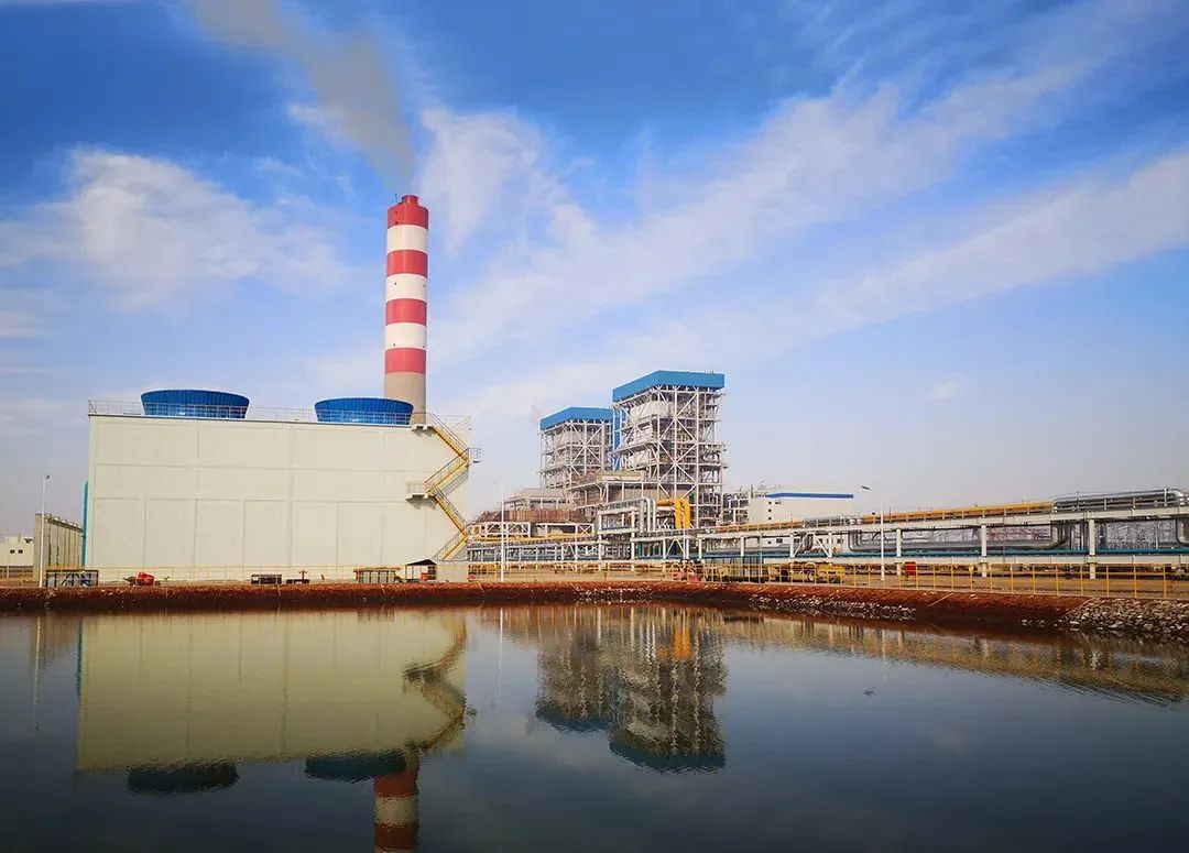 Stake(中国区)官方网站