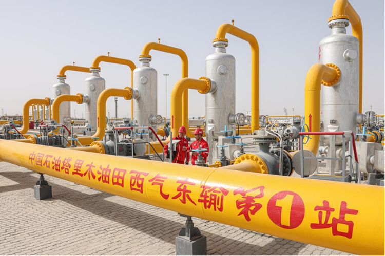 Stake(中国区)官方网站