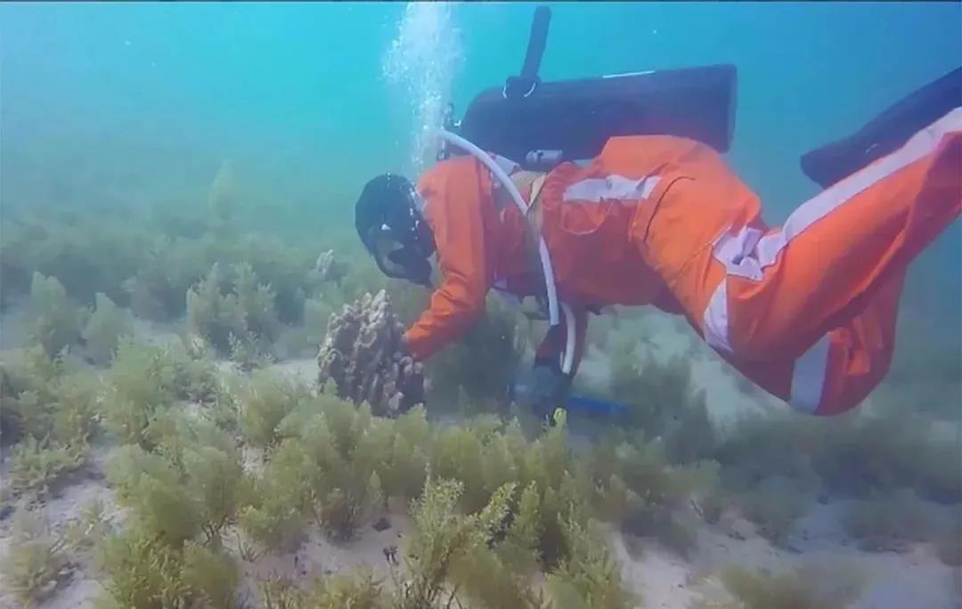 Stake(中国区)官方网站